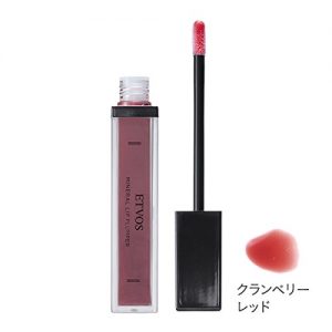 リッププランパーの人気おすすめ ...